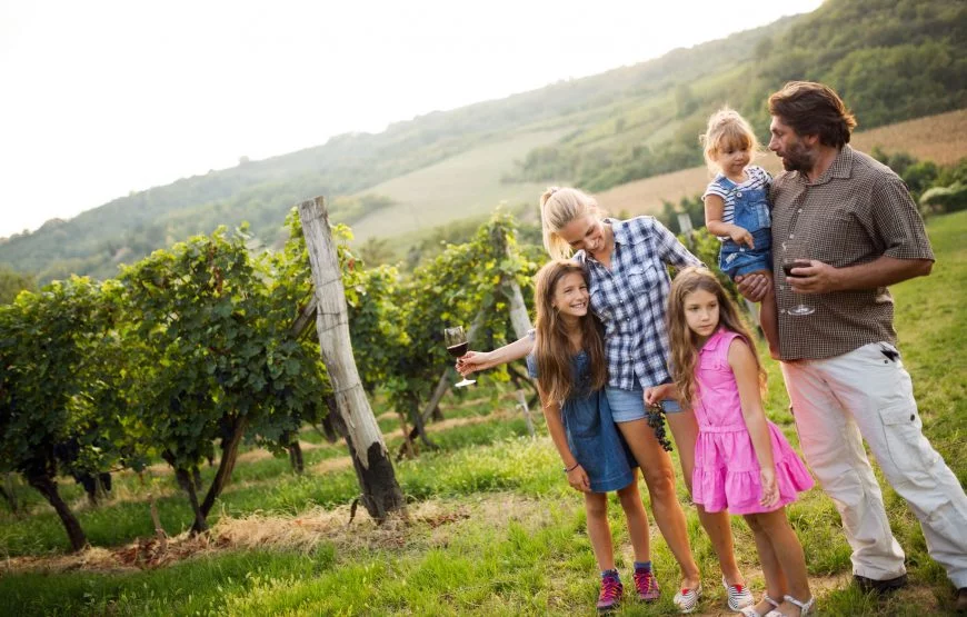 Культурно-познавательный тур по винным регионам Грузии