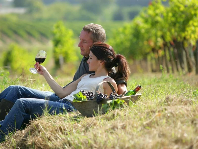 Cultural tour to the wine regions of Georgia