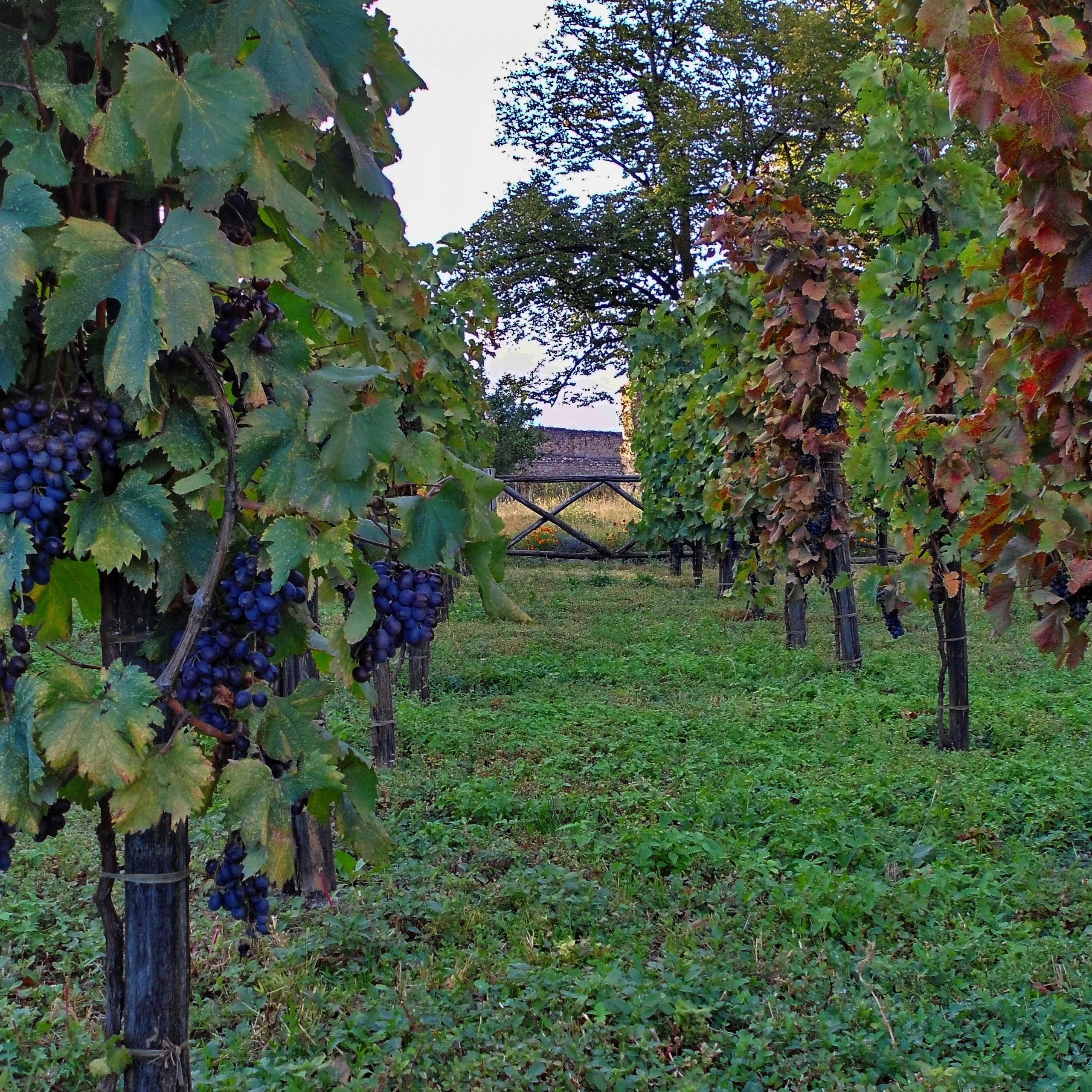 Первый день