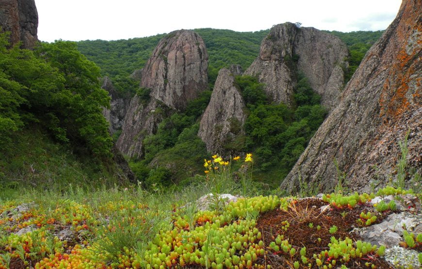 Каньон Биртвиси и городище Самшвилде