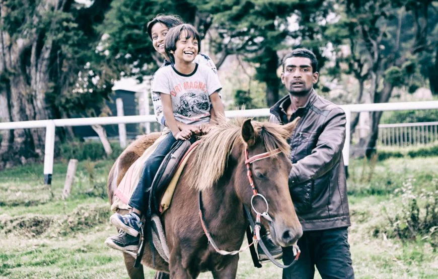 Detox Your Mind – Borjomi and Bakuriani tour from Tbilisi