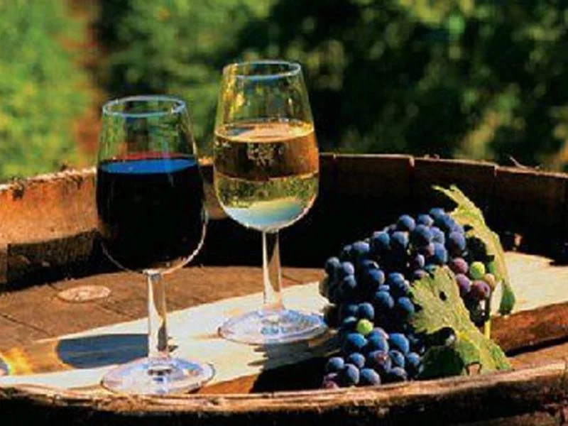 Group Tour From Tbilisi To Sighnaghi and Bodbe – Wine Tasting