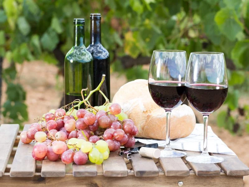 Cradle of Wine – Tour From Tbilisi To Bodbe, Sighnaghi and Tsinandali – Wine Tasting