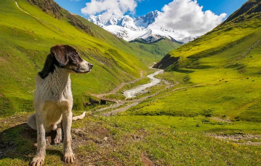 Group Tour to Kazbegi Mountains from Tbilisi