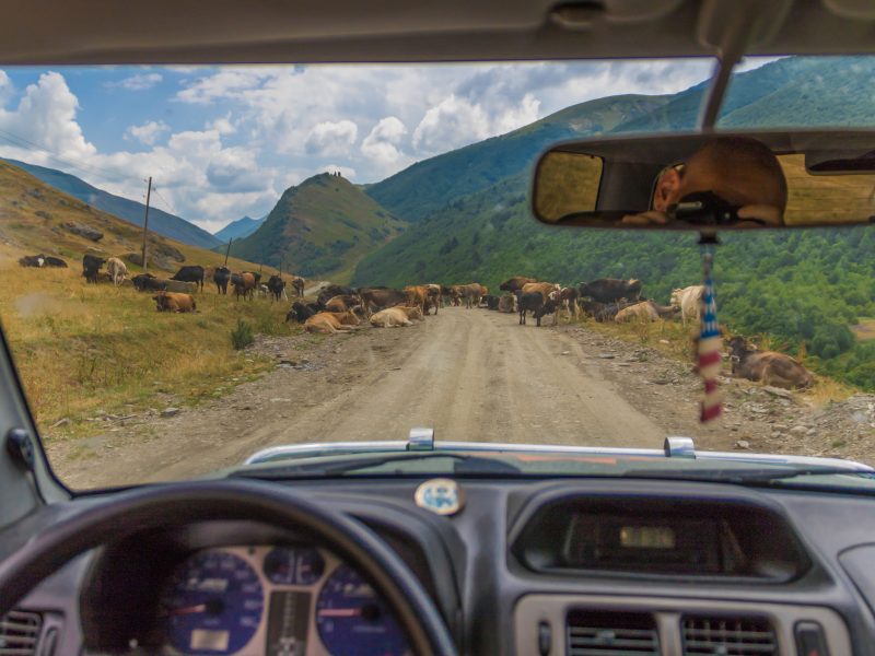 Group Tour to Shatili – Mutso