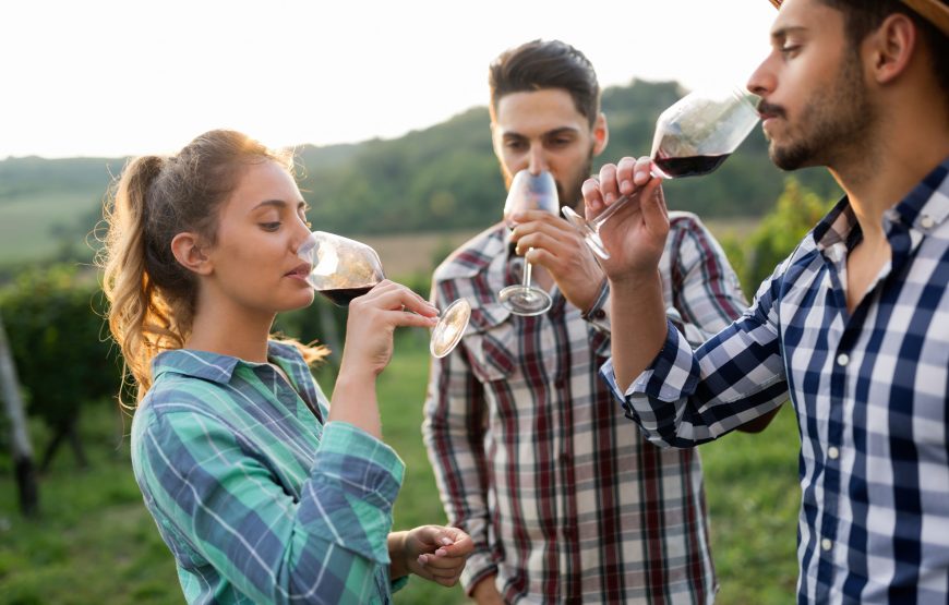 Wine and Culinary Tour to Kakheti