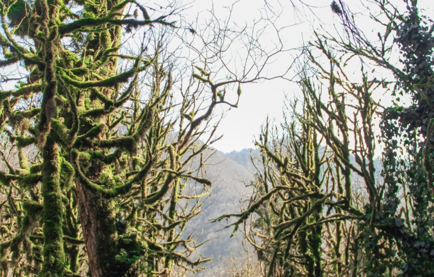 Macha(cha)kheli tour from Batumi