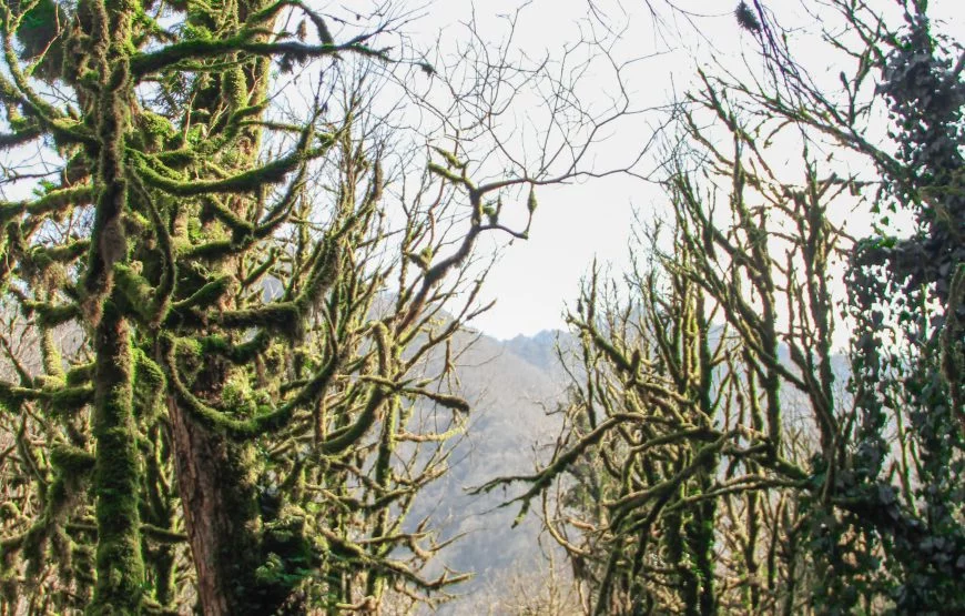Macha(cha)kheli tour from Batumi