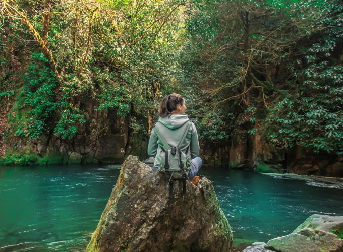 Europe’s #1 Rainforest – Mtirala Tour from Batumi
