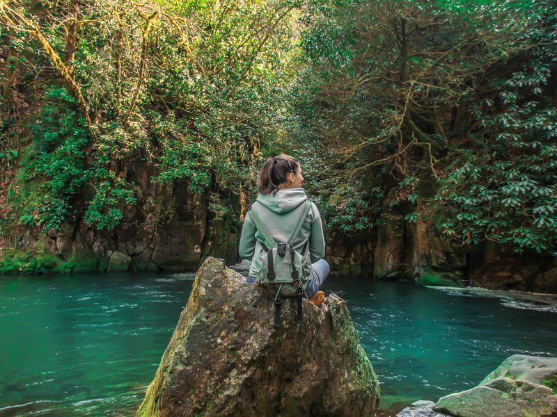 Europe’s #1 Rainforest – Mtirala Tour from Batumi